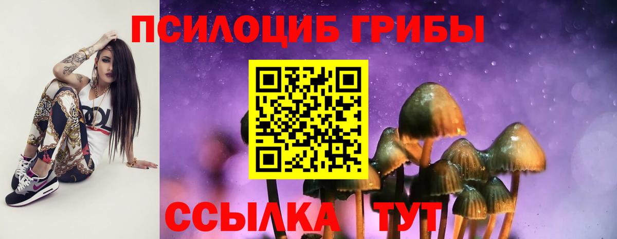 Галлюциногенные грибы Magic Shrooms  Псилоцибиновые грибы Cubensis  дарнет шоп  Луховицы  Вход с VPN 